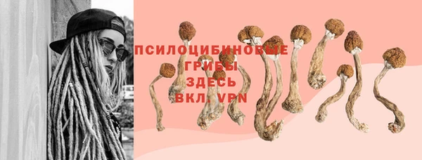 дмт Абинск