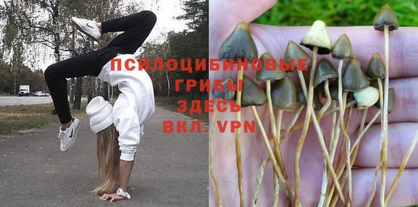 крисы Абдулино