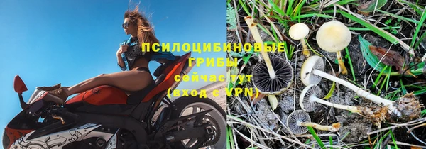 метадон Абаза