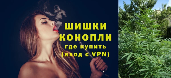 крисы Абдулино