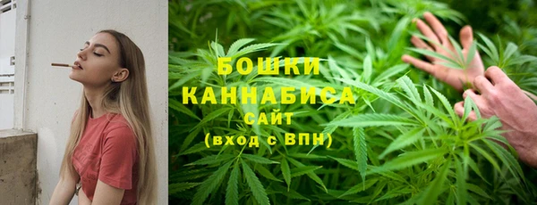крисы Абдулино